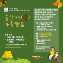 숲안애