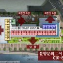 롯데몰 앞 횡단보도(2) 이미지