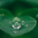 명리, 나를 지키는 명리 이미지