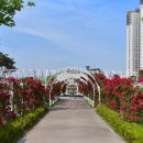 세종빌딩 이미지