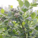 목골농장 이미지