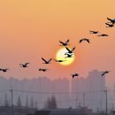 주남저수지 이미지