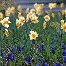 신구대학교 이미지