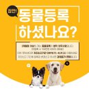 자진신고