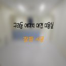 다솜애견미용실 이미지