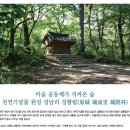 마을 공동체가 지켜온 숲 - 원성 성남리 성황림 이미지