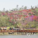 순천만국가정원 동천 갯벌공연장 이미지