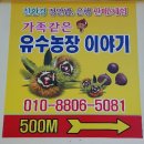 유수농장 이미지