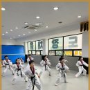 원 태권도장 네이버블로그