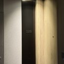 539 | 서울 코트야드 보타닉파크 메리어트 호텔 | 스위트룸 539호 서울식물원 호캉스 후기