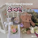 (원데이)히아시스 플라워 캔들 | 창원 공방 유메인 리얼 플라워 캔들 원데이클래스 후기