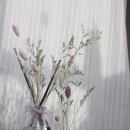 아리아 노래연습장 이미지