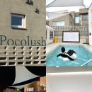 포코러쉬 이미지