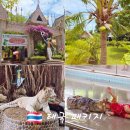 석식농장 | 태국 패키지 방콕 파타야 3박 5일 코스 후기 노랑풍선