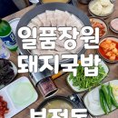 일품장원돼지국밥 | 부산 노포 서면 돼지국밥 맛집 일품장원돼지국밥 35년 전통 수육 후기