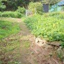 양동보건지소 이미지