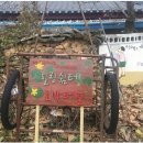 치선농장 Daum카페