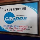 나우자동차전문정비 이미지