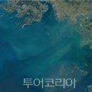 사진공간엘
