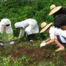 낙생고등학교 이미지
