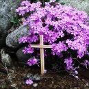 오포1동-18 이미지