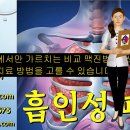 흡인성 폐렴 치료 - 사암오행침, 사암침법, 오행침, 정통사암침 이미지