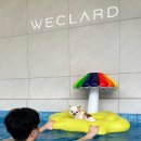 죽동리 | 경주 애견동반 풀빌라 &lt;위클라드 애견 풀빌라&gt; 내돈내산 솔직후기