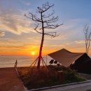 지에스(GS)25 포항양포점 이미지