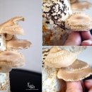 봉명농장 이미지