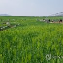 김홍일농장 이미지