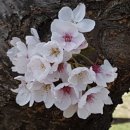 도원리유원지 이미지