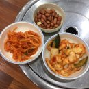 동북일가인