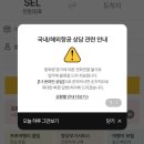 P-5J02 | [세부] 노랑풍선 예약, 세부퍼시픽 항공 후기 세부 3박 5일 여행 준비하기 세부 여행 일정 공유