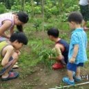 덤덤앤드덤 이미지