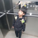 반월초교병설유치원 이미지