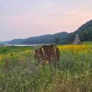 금강공원3 이미지