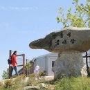 옥계쌍둥이동물농장 이미지