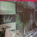 달끌림하우스 이미지