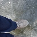 금평 농장 이미지