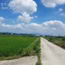 장성 공인중개사사무소 이미지