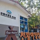 국립공원관리사무소 | 전남 영암군 월출산국립공원 천황야영장 카라반 D3 251025