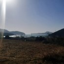 율포농장 이미지