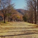 장흥수림원 이미지