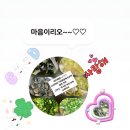 수원도 폭설 아산 신창도 폭설입니다. 이미지