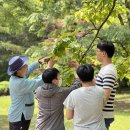 2024년 중부지방산림청 “찾아가는 산림치유 프로그램” 실시(8차)-한국숲인성교육개발원(240524-사정공원)) 이미지