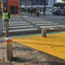 횡단보도옐로카펫 이미지