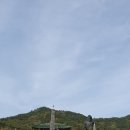 4월15~16/남미륵사의 아름다운 철쭉들 이미지