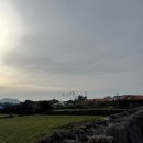 하도울 | [2025 제주도 여행] 제주도 숙소 "하도울" 후기!