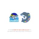 퍼시픽랜드주식회사 티스토리