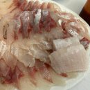 거시기횟집 - 신안군 압해로 1741-37 | 해운대 횟집 해운대 어가횟집 포장후기